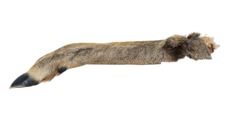 Srnčí nožka s kožešinou - 1 ks / 30 cm